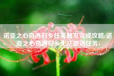 诺亚之心奇遇归乡任务触发完成攻略(诺亚之心奇遇归乡无法激活任务)