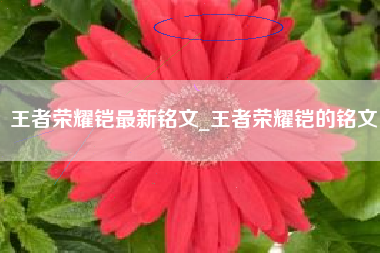 王者荣耀铠最新铭文_王者荣耀铠的铭文