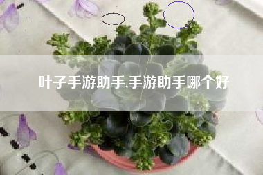 叶子手游助手,手游助手哪个好