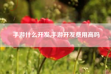 手游什么开发,手游开发费用高吗