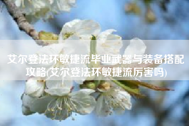 艾尔登法环敏捷流毕业武器与装备搭配攻略(艾尔登法环敏捷流厉害吗)