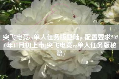 突飞电竞cz单人任务版登陆pc配置要求2020年11月初上市(突飞电竞cz单人任务版秘籍)