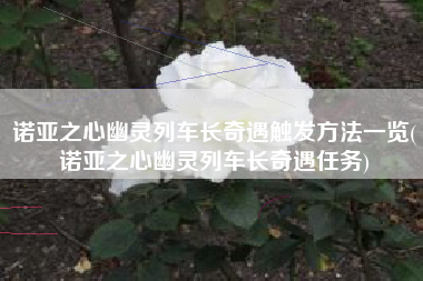 诺亚之心幽灵列车长奇遇触发方法一览(诺亚之心幽灵列车长奇遇任务)