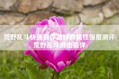 荒野乱斗快速装弹器妙具属性强度测评(荒野乱斗游击装弹)