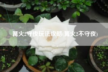 篝火2守夜玩法攻略(篝火2不守夜)