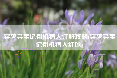 穿越寻宝记街机猎人详解攻略(穿越寻宝记街机猎人红球)