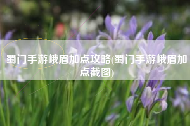 蜀门手游峨眉加点攻略(蜀门手游峨眉加点截图)