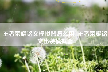 王者荣耀铭文模拟器怎么用_王者荣耀铭文出装模拟器