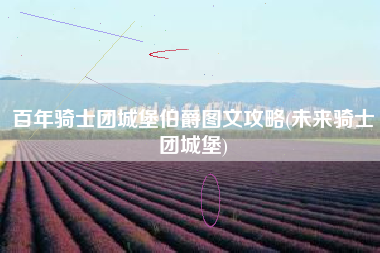 百年骑士团城堡伯爵图文攻略(未来骑士团城堡)