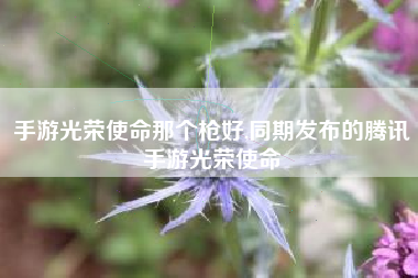 手游光荣使命那个枪好,同期发布的腾讯手游光荣使命