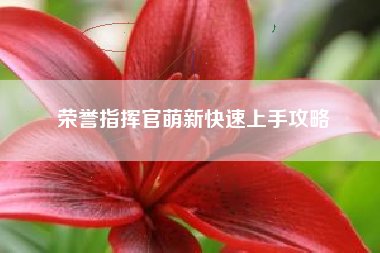 荣誉指挥官萌新快速上手攻略
