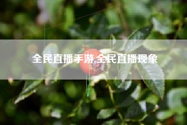 全民直播手游,全民直播现象