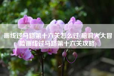 画线过马路第十六关怎么过(脑洞人大冒险画线过马路第十六关攻略)
