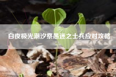 白夜极光潮汐祭愚迷之士兵应对攻略