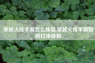 穿越火线手游怎么练狙,穿越火线手游如何打冲锋狙