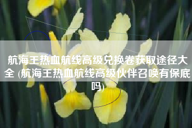 航海王热血航线高级兑换卷获取途径大全 (航海王热血航线高级伙伴召唤有保底吗)