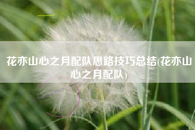 花亦山心之月配队思路技巧总结(花亦山心之月配队)