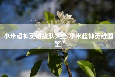 小米超神英雄皮肤大全(小米超神英雄图鉴)