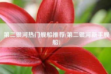第二银河热门舰船推荐(第二银河新手舰船)