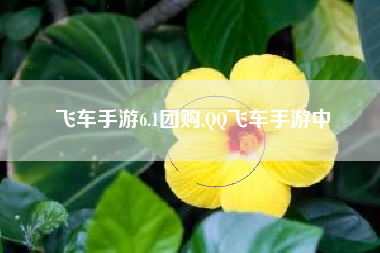 飞车手游6.1团购,QQ飞车手游中
