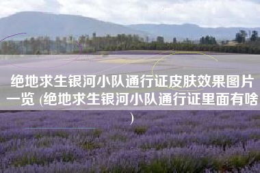 绝地求生银河小队通行证皮肤效果图片一览 (绝地求生银河小队通行证里面有啥)