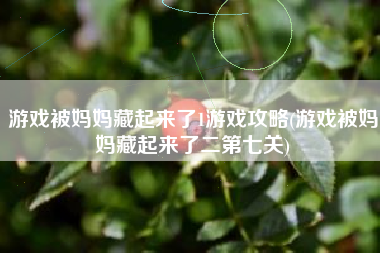 游戏被妈妈藏起来了1游戏攻略(游戏被妈妈藏起来了二第七关)
