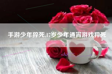 手游少年猝死,17岁少年通宵游戏猝死