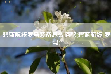 碧蓝航线罗马装备怎么搭配(碧蓝航线 罗马)