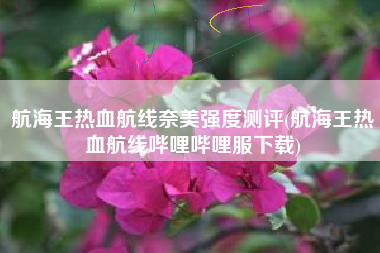 航海王热血航线奈美强度测评(航海王热血航线哔哩哔哩服下载)