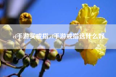 cf手游买戒指,cf手游戒指选什么好
