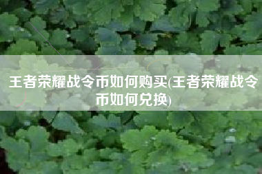王者荣耀战令币如何购买(王者荣耀战令币如何兑换)