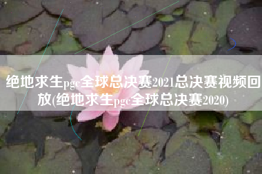 绝地求生pgc全球总决赛2021总决赛视频回放(绝地求生pgc全球总决赛2020)