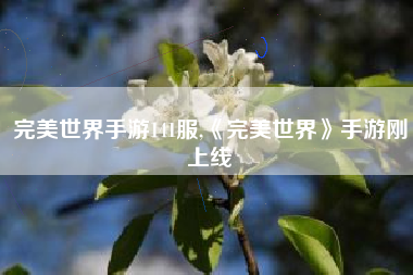 完美世界手游141服,《完美世界》手游刚上线