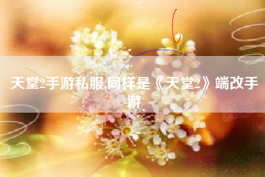 天堂2手游私服,同样是《天堂2》端改手游