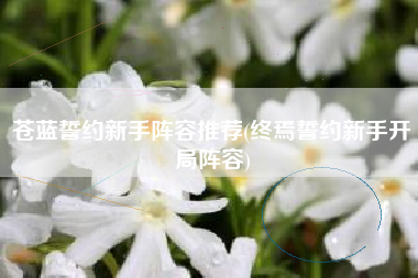 苍蓝誓约新手阵容推荐(终焉誓约新手开局阵容)