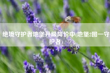 绝境守护者地堡升级降价中(地堡2图一守护者)