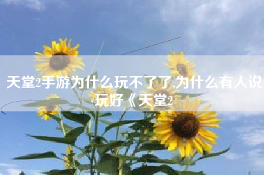 天堂2手游为什么玩不了了,为什么有人说玩好《天堂2