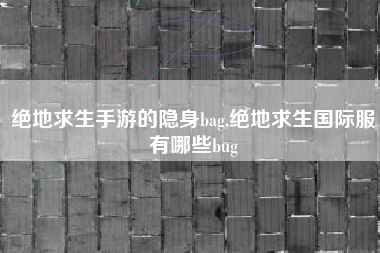 绝地求生手游的隐身bag,绝地求生国际服有哪些bug
