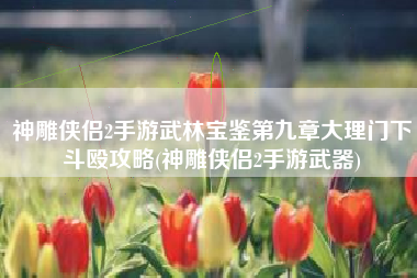 神雕侠侣2手游武林宝鉴第九章大理门下斗殴攻略(神雕侠侣2手游武器)