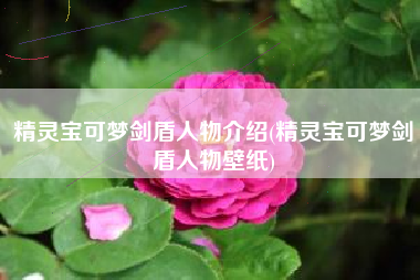 精灵宝可梦剑盾人物介绍(精灵宝可梦剑盾人物壁纸)
