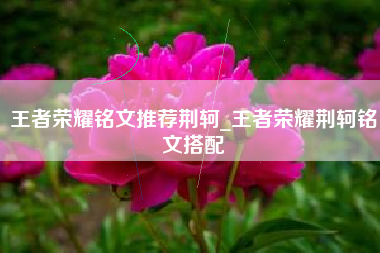 王者荣耀铭文推荐荆轲_王者荣耀荆轲铭文搭配