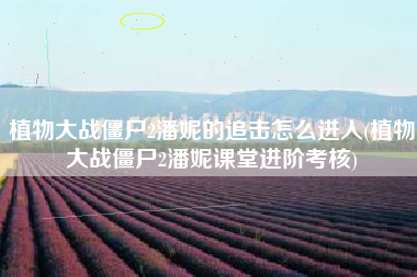植物大战僵尸2潘妮的追击怎么进人(植物大战僵尸2潘妮课堂进阶考核)
