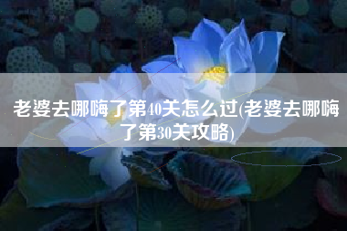 老婆去哪嗨了第40关怎么过(老婆去哪嗨了第30关攻略)
