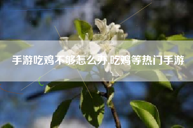 手游吃鸡不够怎么办,吃鸡等热门手游