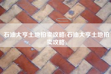 石油大亨土地拍卖攻略(石油大亨土地拍卖攻略)