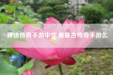 神途传奇手游中变,有复古传奇手游么