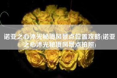 诺亚之心沐光秘境风景点位置攻略(诺亚之心沐光秘境风景点拍照)
