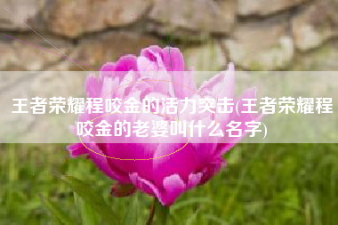 王者荣耀程咬金的活力突击(王者荣耀程咬金的老婆叫什么名字)
