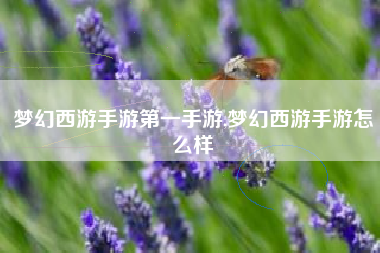 梦幻西游手游第一手游,梦幻西游手游怎么样