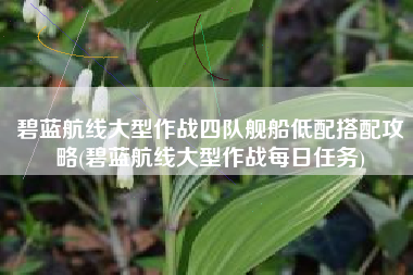 碧蓝航线大型作战四队舰船低配搭配攻略(碧蓝航线大型作战每日任务)